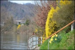 Rheinuferweg